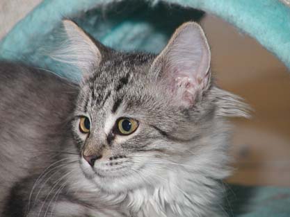 Minka am 02.09.2012