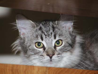 Minka am 16.09.2012