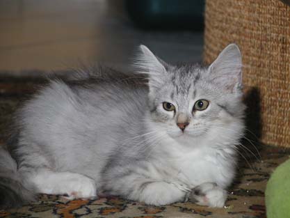 Molly am 02.09.2012