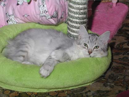 Molly am 16.09.2012