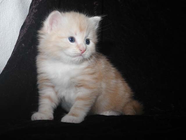Obelix am 28.04.2013