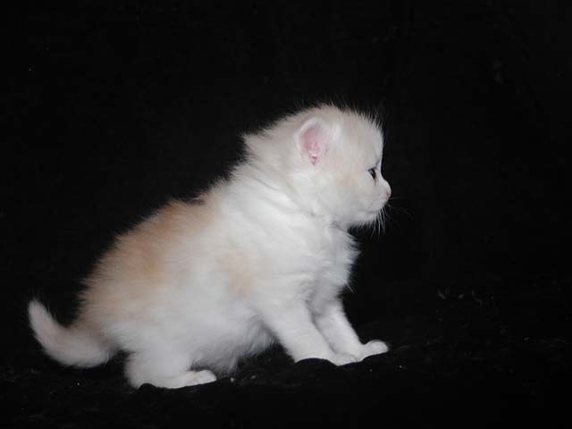 Oliver am 28.04.2013