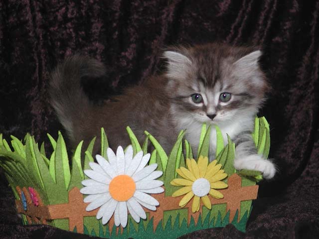 Olivia am 19.05.2013