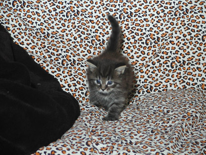 Sergeij am 15.06.2008