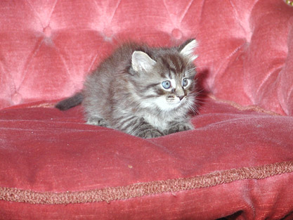 Sergeij am 21.06.2008