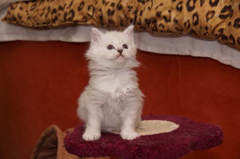 Sally am 28.6.2014