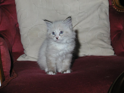 Zarenko am 30.07.2009